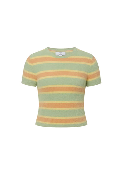 Amber Striped Short Knit Top