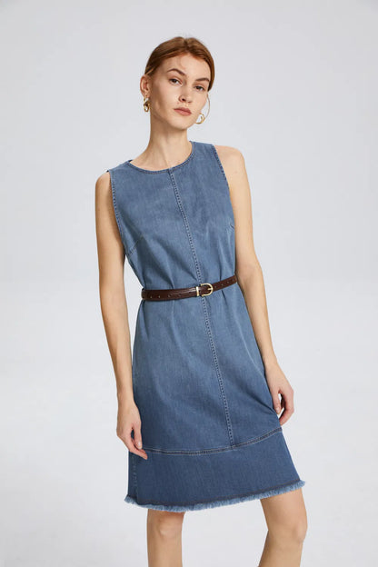 Miranda Embellished Dress in Cotton Lyocell Denim