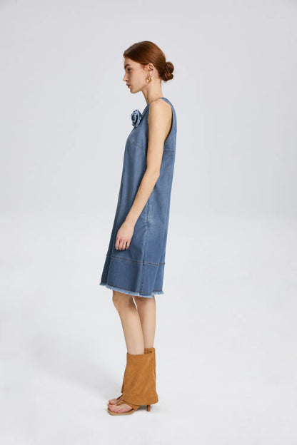 Miranda Embellished Dress in Cotton Lyocell Denim